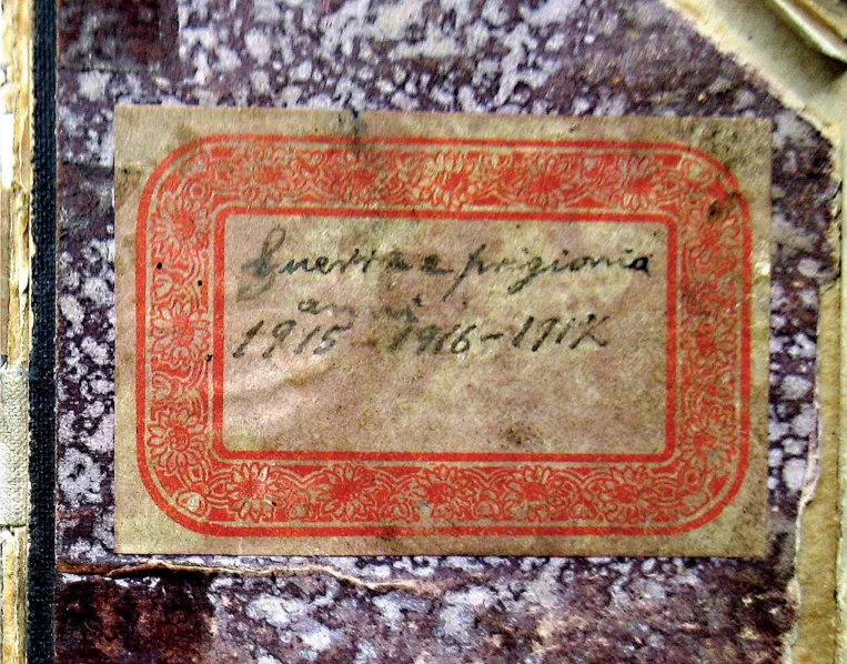 Guerra e prigionia 1915-1917. Il diario del fante Vittorio Toniolo image