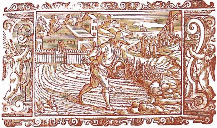 Furti e danni campestri nella San Vito del Cinquecento e Seicento image