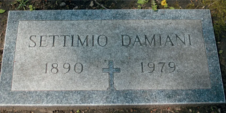 Da Ascoli alla Val Posina. La Guerra del fante Settimo Damiani. image