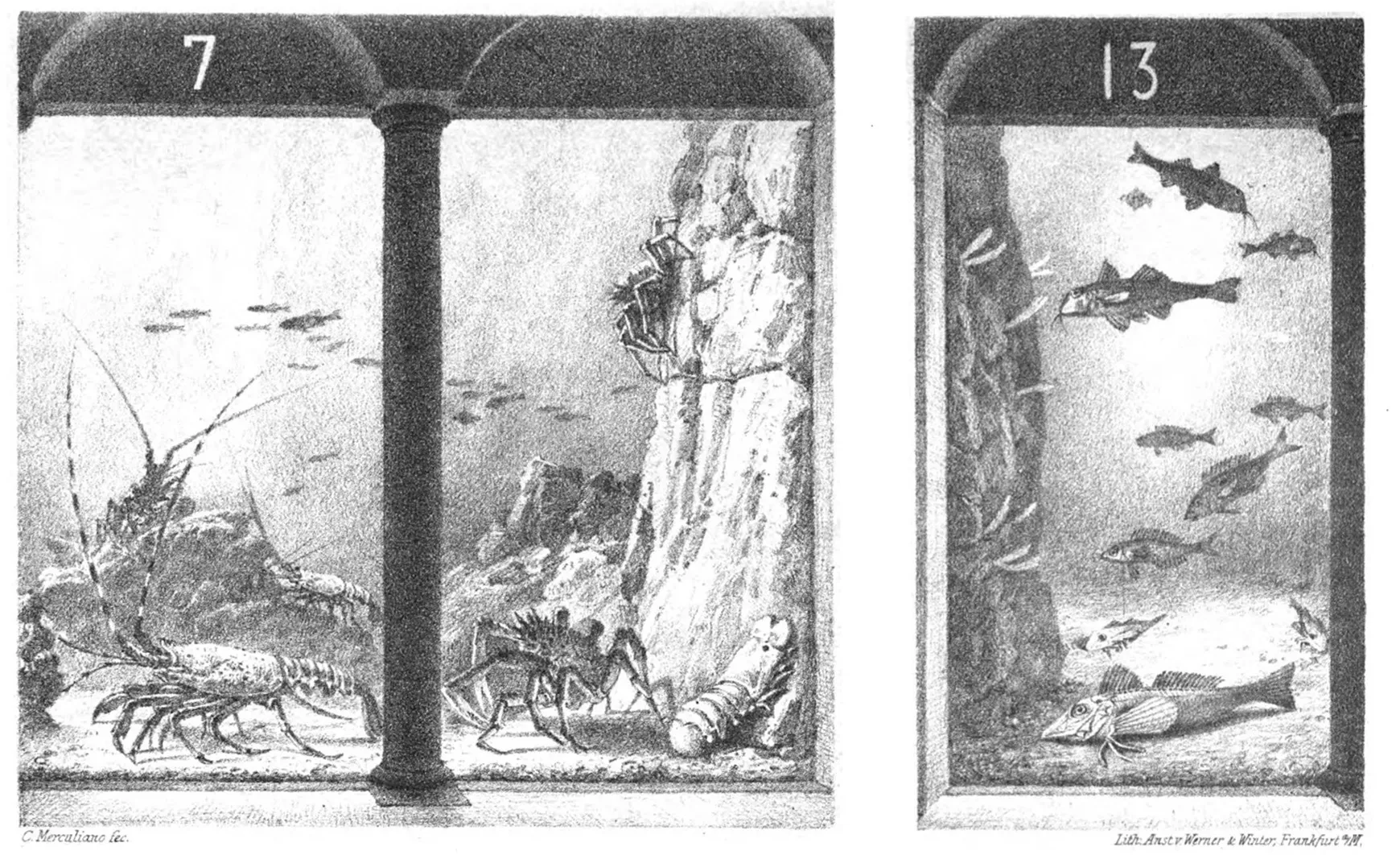 Il restauro del Parco di Villa Rossi image