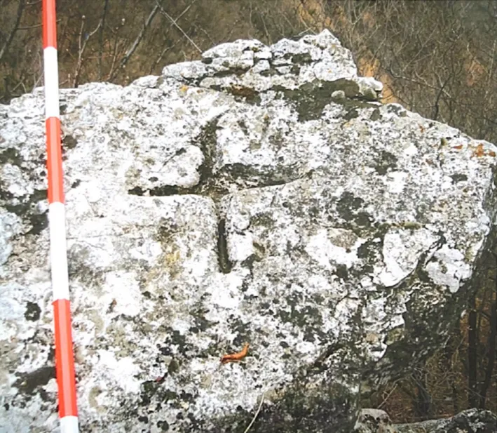 In sasso vivo. La definizione confinaria tra Piovene e Velo del 1642 e lo stato attuale dei termini image