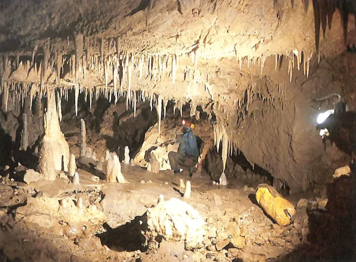 Nuove Straordinarie Scoperte Speleologiche nel Territorio di Monte di Malo image